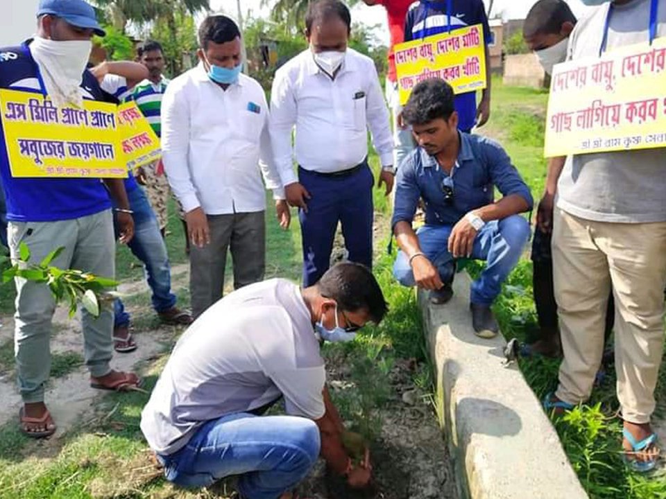 Tree Plantation